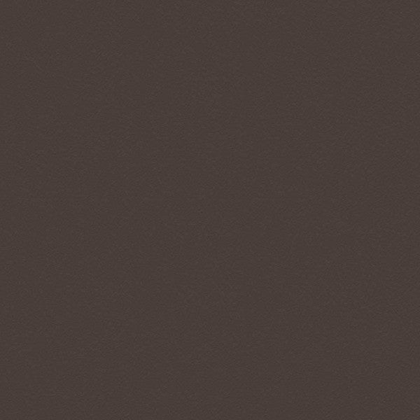 B&B Italia Piccola Papilio Koltuk