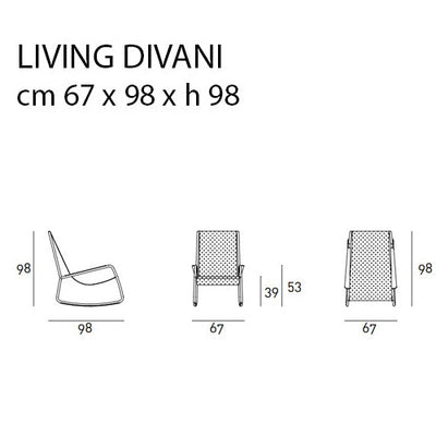 Living Divani Flow Sandalye