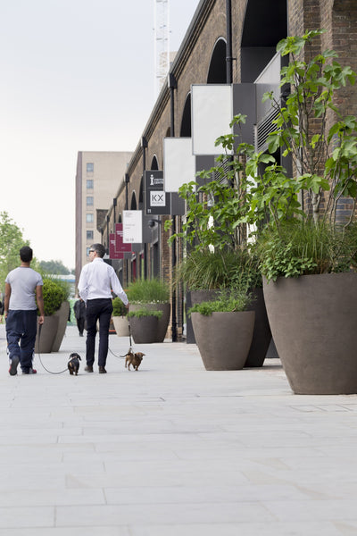 Atelier Vierkant A Saksı
