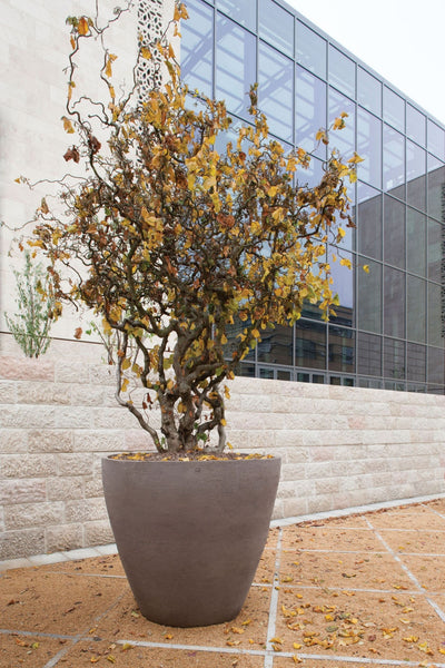 Atelier Vierkant A Saksı