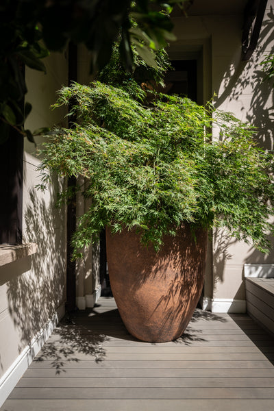 Atelier Vierkant AU Saksı