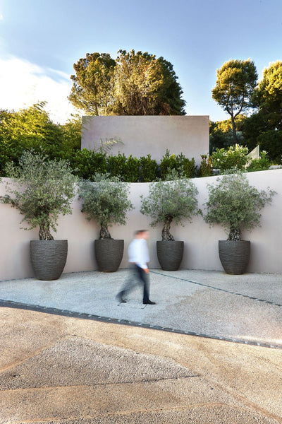 Atelier Vierkant AU Saksı