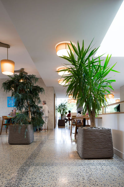 Atelier Vierkant BC Saksı