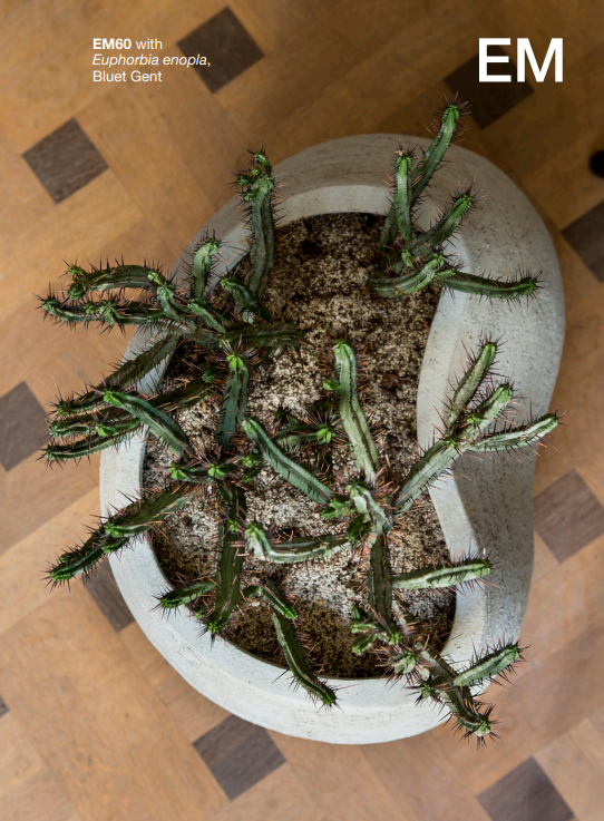 Atelier Vierkant EM Pot