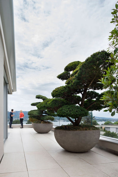 Atelier Vierkant U Vase