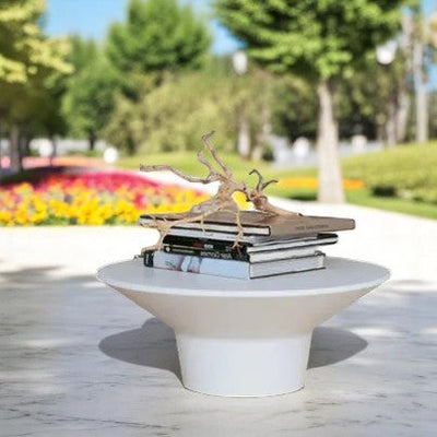 B&B Italia Springtime Coffee Table