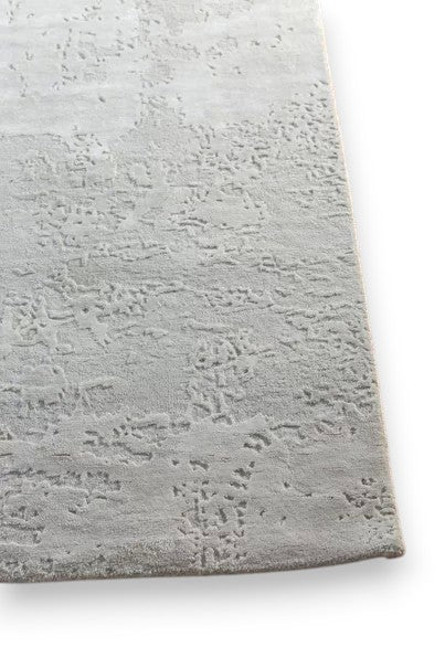 Serendipitous Symphony