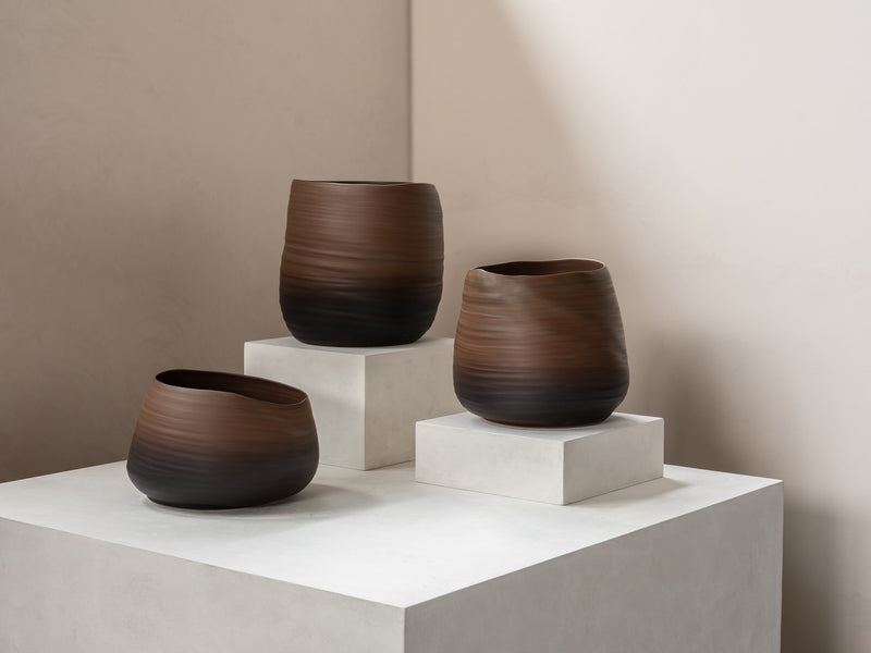 Rina Menardi Cenote Alto Vazo