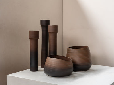 Rina Menardi Cenote Alto Vazo