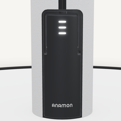 Royal Botania Anamon Şemsiye