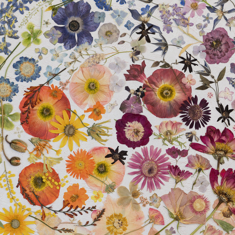 Jwana Hamdan Amar&Shams Low Table