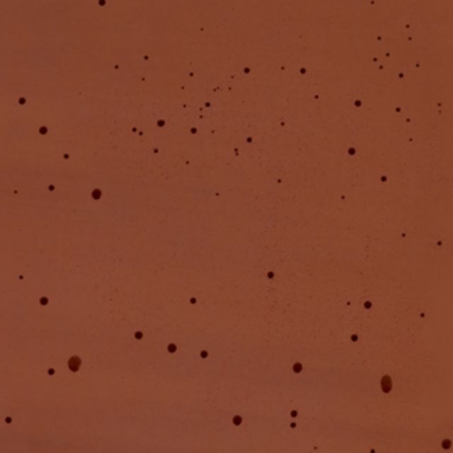 Pedrali Caementum Collection Sehpa