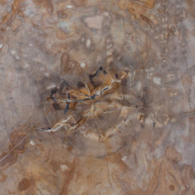 Pedretti Home Ciocat 60 Collection Coffee Table