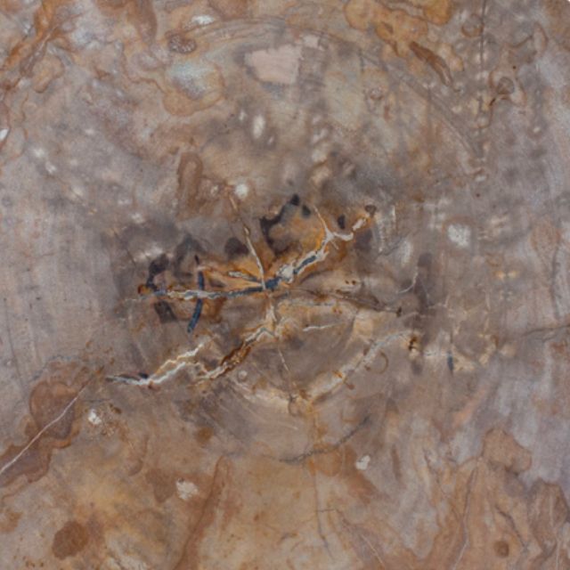 Pedretti Home Ciocat 60 Collection Coffee Table