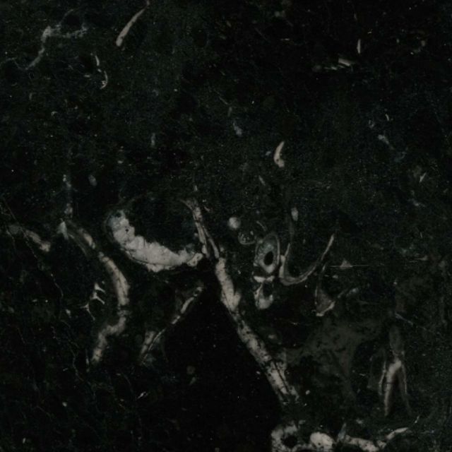 Pedretti Home Vaso 19 Collection Vazo