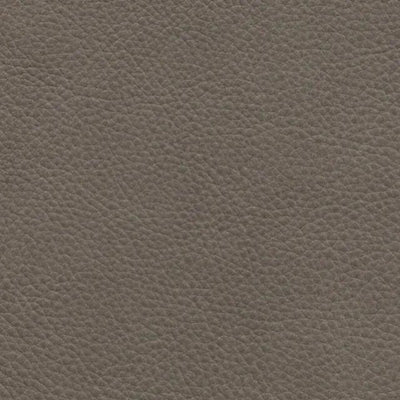 Flexform Guscio Collection Koltuk