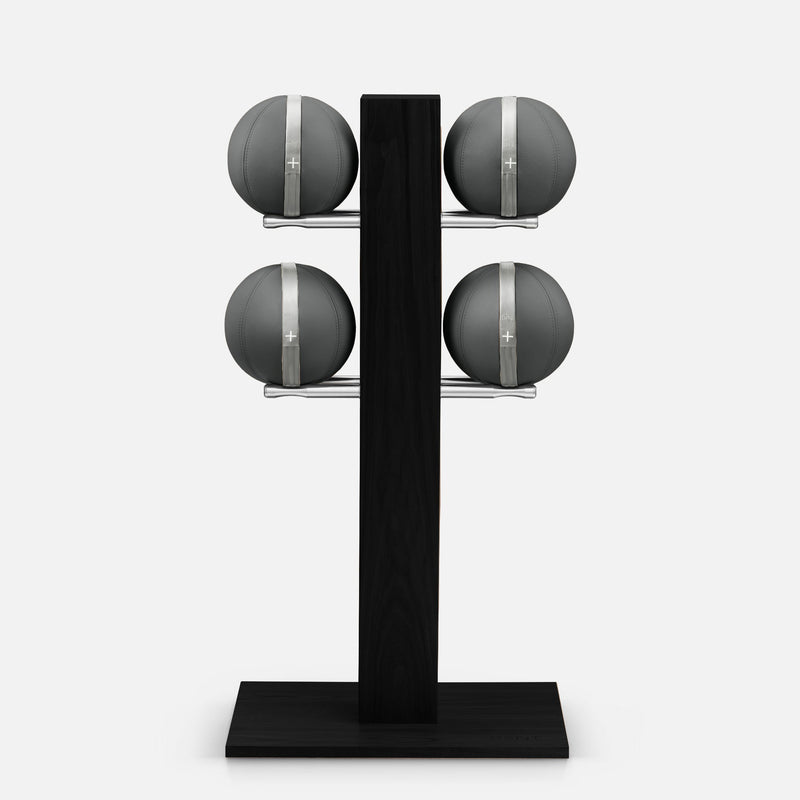 MOXA Set - Set of Leather Medicine Balls on vertical wooden stand | Power