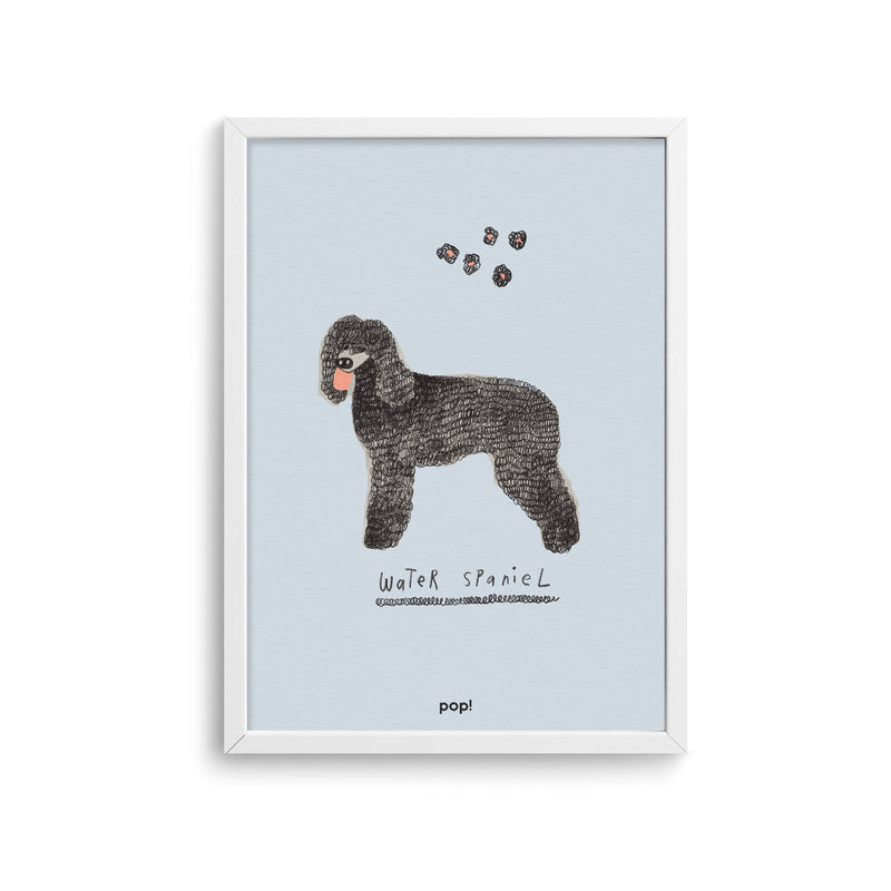 Dog Pals Water Spaniel Poster