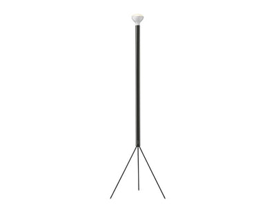 Flos Luminator - Floor lamp