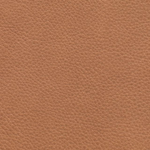 Cassina Esosoft 580 Armchair