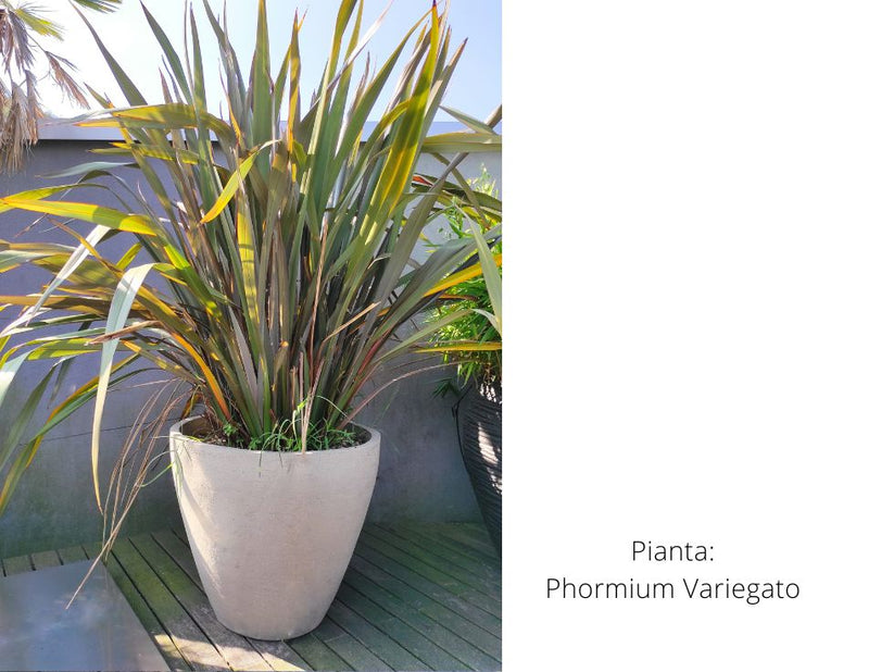 Vaso A60 - Outdoor Vase with plant